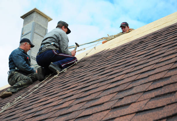 Best Roof Gutter Cleaning  in Clemmons, NC
